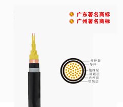 珠江電纜KVVP22 鎧裝屏蔽控制電纜