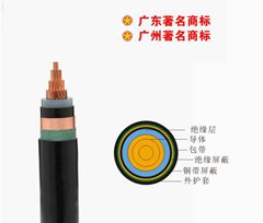 珠江南方一線(xiàn)電纜0.6/1KV電力電纜