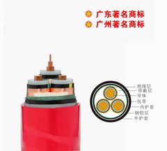 珠江南方一線(xiàn)電纜雙屏蔽電力電纜 防蟻電纜